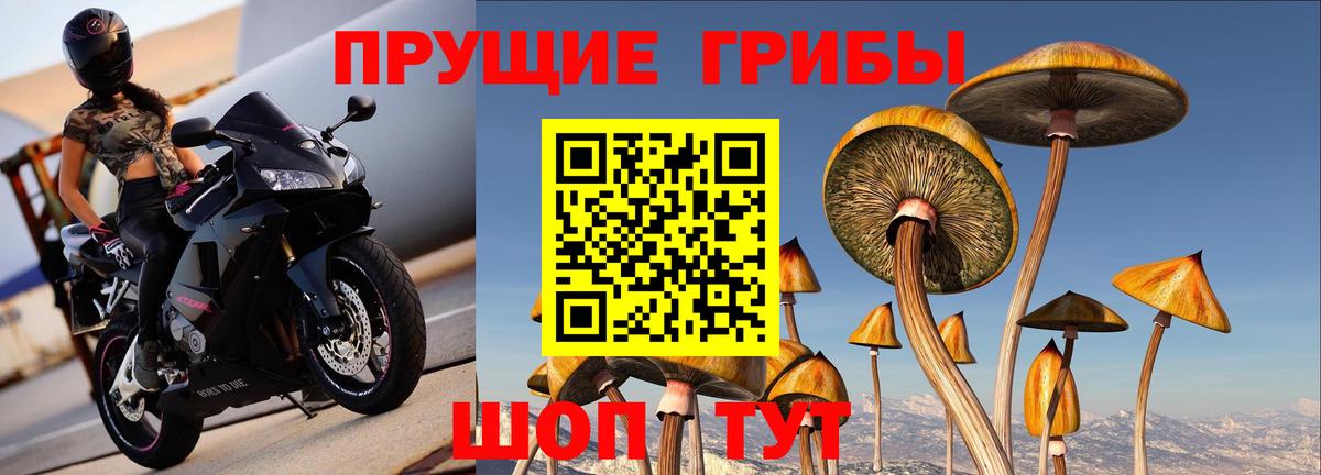Семёнов  Псилоцибиновые грибы мицелий  Вход с VPN 