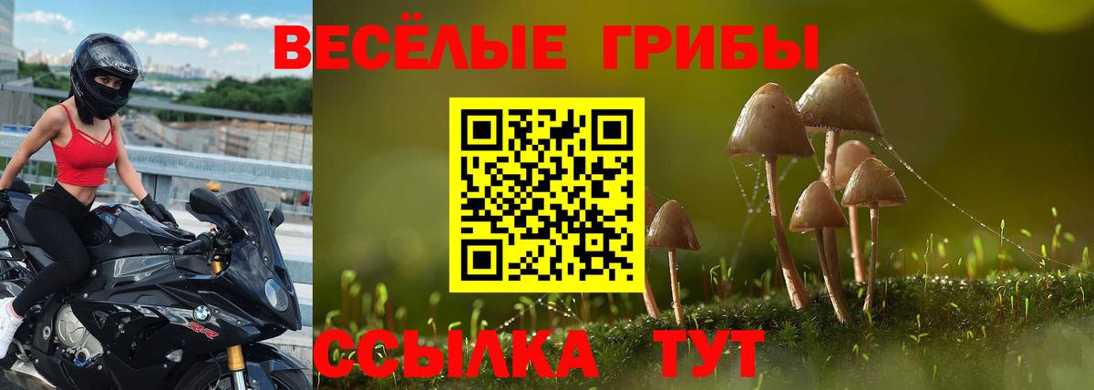 Галлюциногенные грибы Cubensis Семёнов